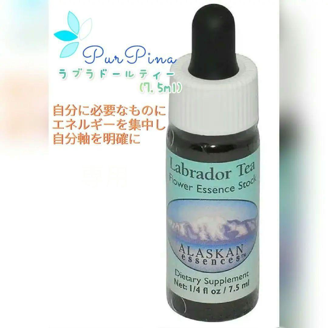 【予約品】ラブラドールティー 　アラスカンエッセンス　フラワーエッセンス フラワーエッセンス アラスカン・エッセンス ラブラドールティー