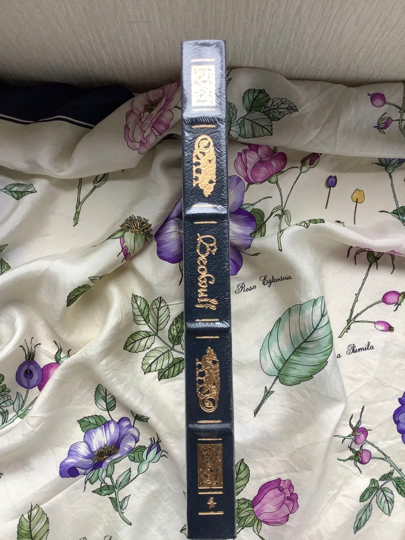 Beowulf 叙事詩「ベオウルフ」 Amazon.co.jp: ベオウルフ [DVD] : クリストファー・ランバート