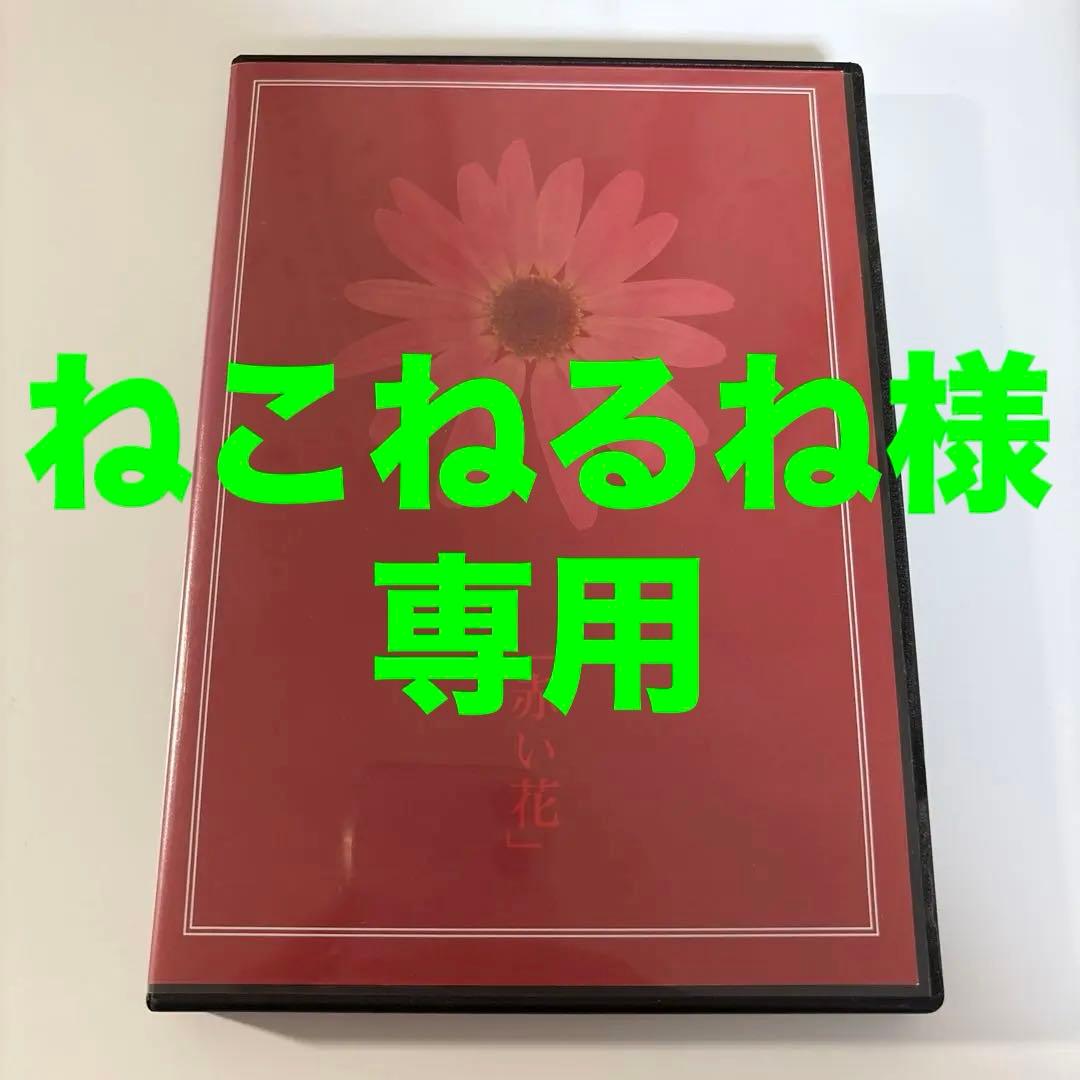 Kαin Kain JILS D≒SIRE 幸也 カイン ジルス デザイア 26 - メルカリ