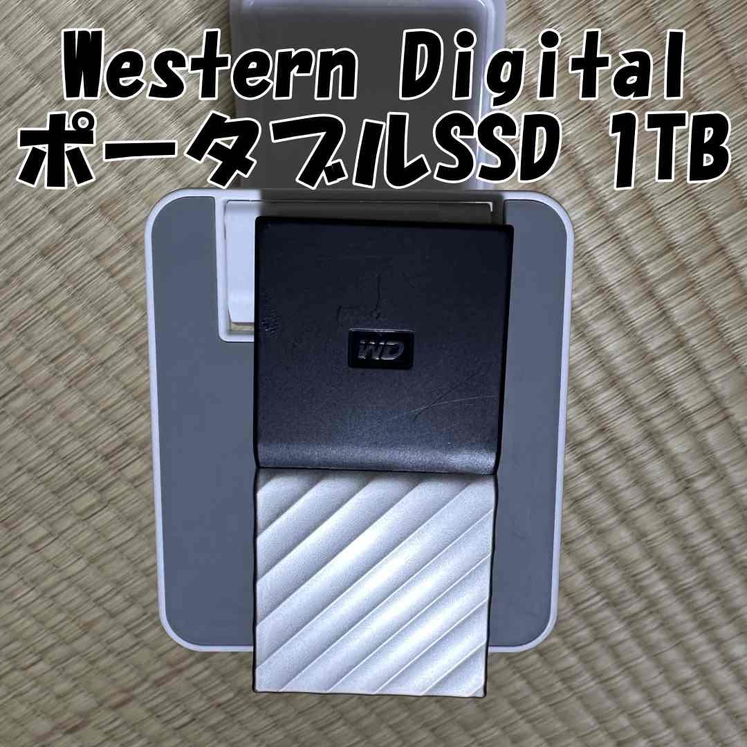 WD ポータブルSSD 1TB 暗号化機能有り紛失対策安全 ピッタリケース付き Amazon | IODATA セキュリティ SSD BizDAS 1TB ハードウェア暗号化