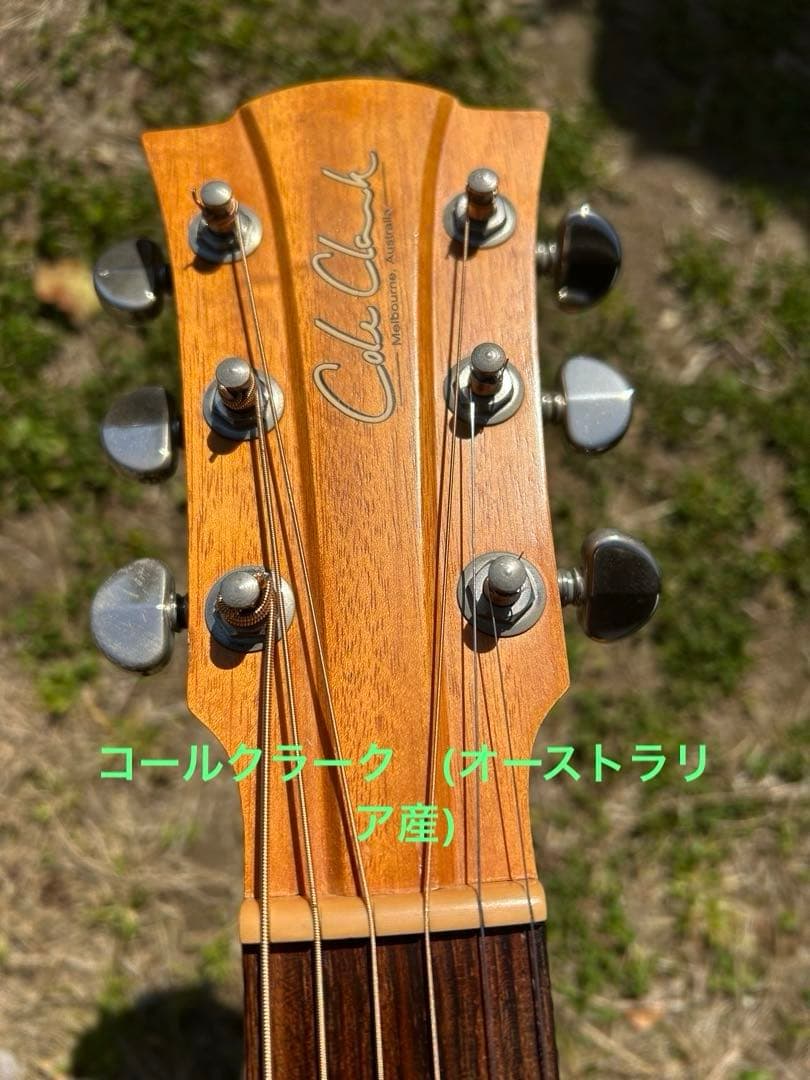 Cole Clark (オール単板) Cole Clark CCFL1EC-BM コールクラーク 【 コクーンシティさいたま新