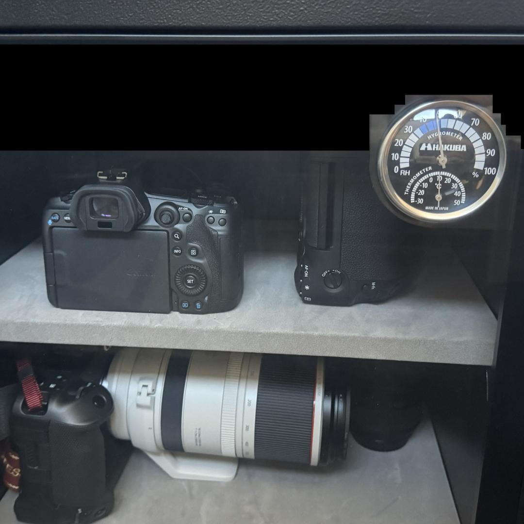 ショット回数300以下】Canon EOS R5 ボディ キヤノン - メルカリ