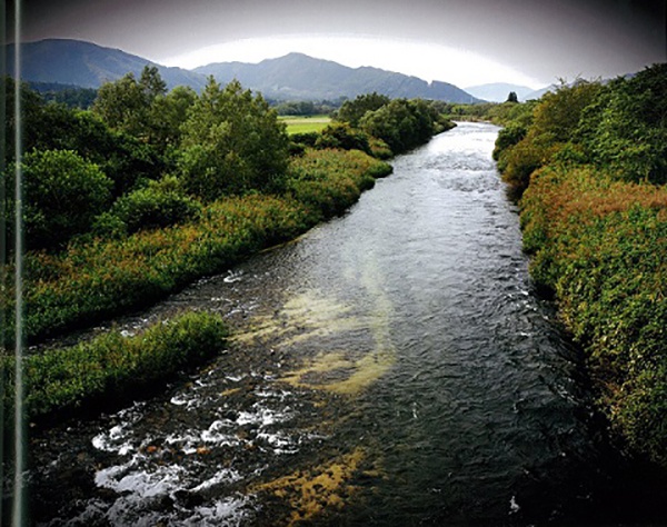 遠野2014（A.P.） - 森山大道 | AKIO NAGASAWA