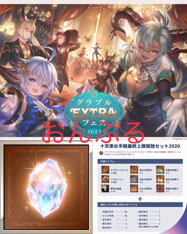 グラブルEXTRAフェス2023 パンフレット シリアルコード 金剛晶&十天衆