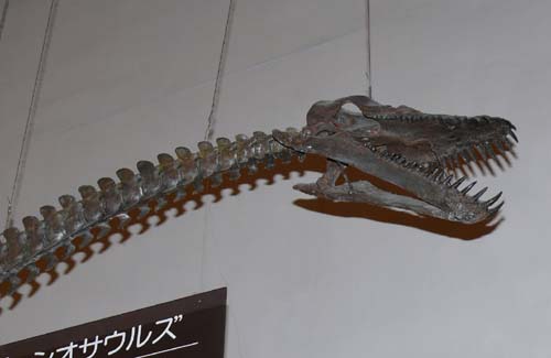 プレシオサウルス2