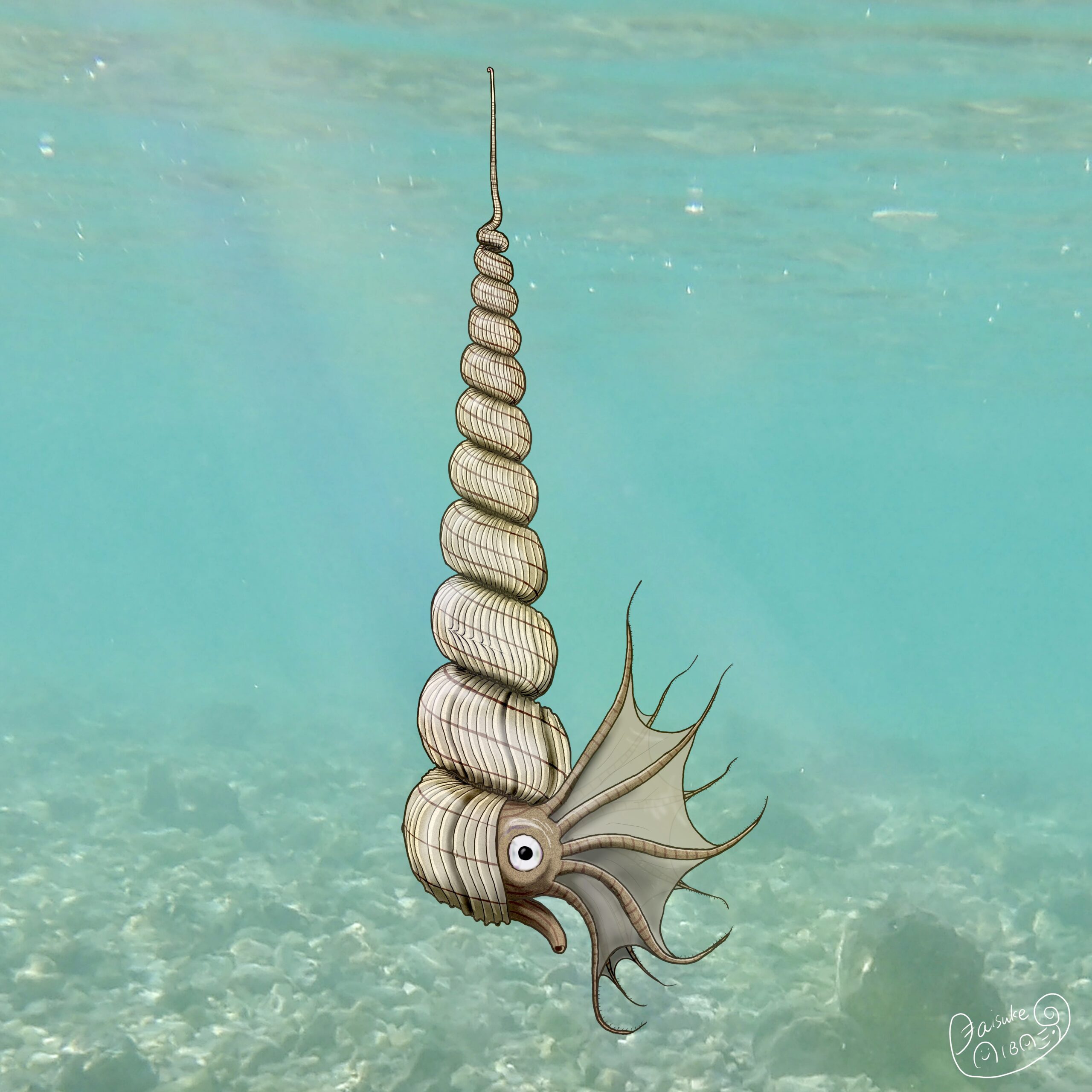 プレスリリース】北海道で中生代白亜紀の新種アンモナイトを発見